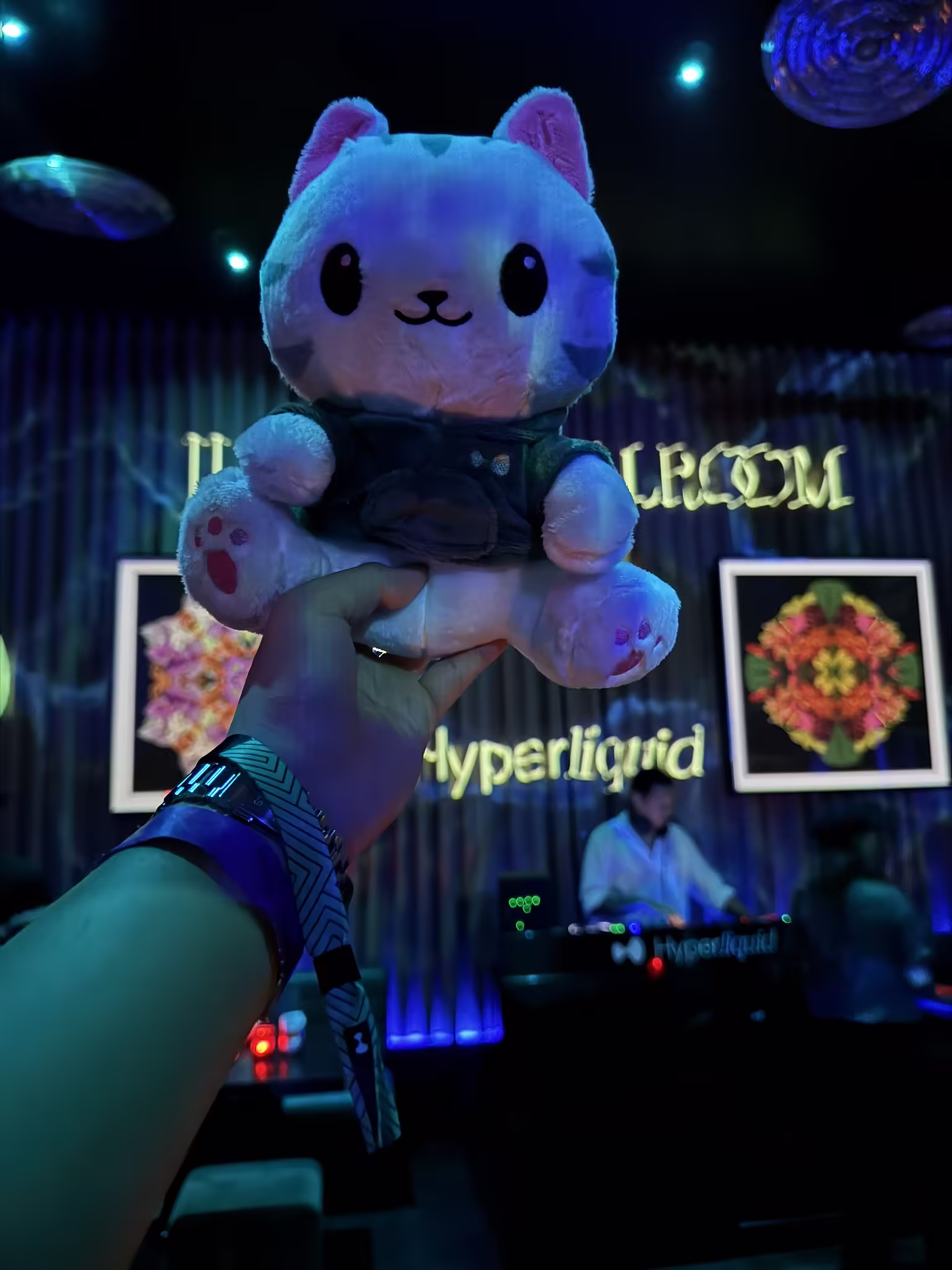HypurrCo Gathers